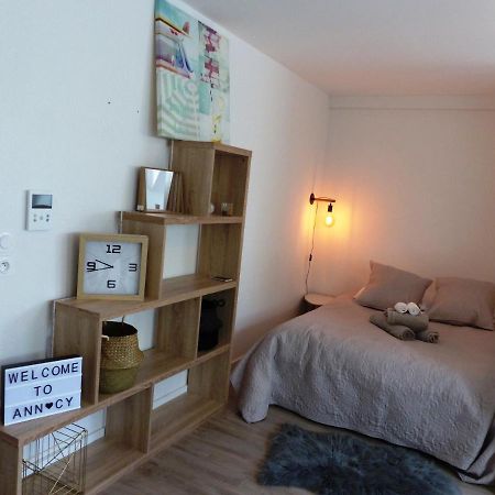 Appartamento Magnifique T1 Bis Triangle D Or - Parking - Wifi Annecy Esterno foto