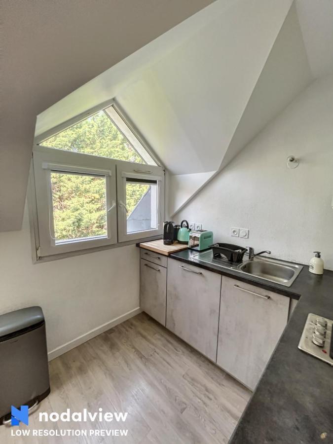 Appartamento Magnifique T1 Bis Triangle D Or - Parking - Wifi Annecy Esterno foto